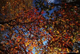 Daily Photograph 774 Daily Photograph 774