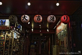 Daily Photograph 775 Daily Photograph 775