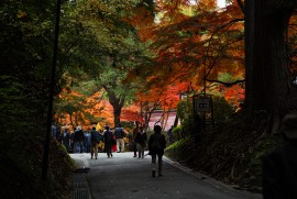 Daily Photograph 781 Daily Photograph 781