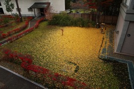 Daily Photograph 782 Daily Photograph 782