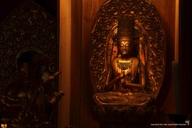 Daily Photograph 788