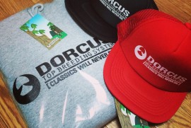 Daily Photograph 793