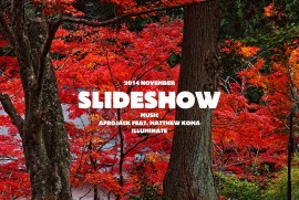 2014 NOVEMBER SLIDESHOW