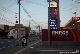 Daily Photograph 894