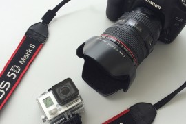 Daily Photograph 906