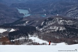 Daily Photograph 909