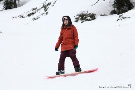 Daily Photograph 933