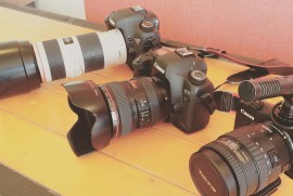 Daily Photograph 963