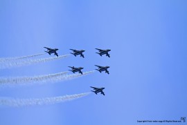 Daily Photograph 972