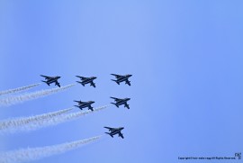 Daily Photograph 974