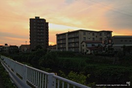 Daily Photograph 1008