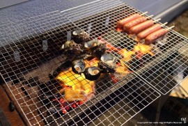 Daily Photograph 1012