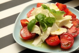 Daily Photograph 1016