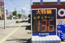 Daily Photograph 1018