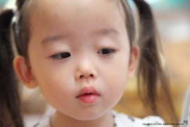 最近のめんちょこちゃん196