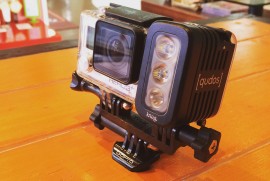 Daily Photograph 1071 Daily Photograph 1071