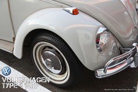 Daily Photograph 1095 (volkswagen type-1 1967)
