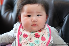 最近のめんちょこちゃん220