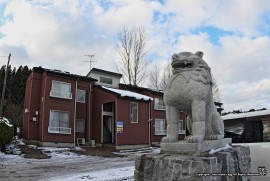 Daily Photograph 1159