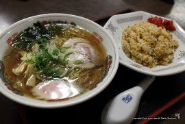 Daily Photograph 1196