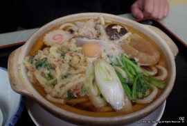 Daily Photograph 1197