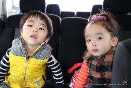 最近のめんちょこちゃん242