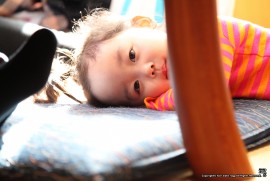 最近のめんちょこちゃん247