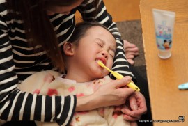 最近のめんちょこちゃん253