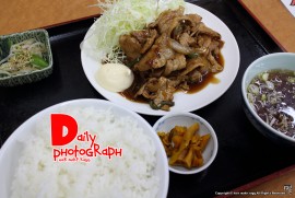 Daily Photograph 1211