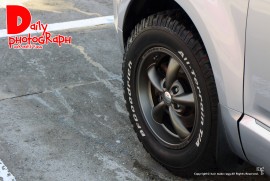 Daily Photograph 1217