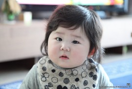 最近のめんちょこちゃん268