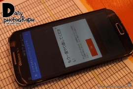 Daily Photograph 1234