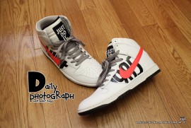 Daily Photograph 1236