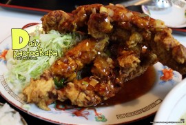 Daily Photograph 1238