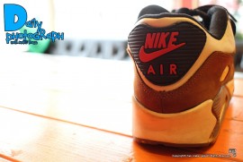 Daily Photograph 1240