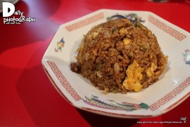 Daily Photograph 1266