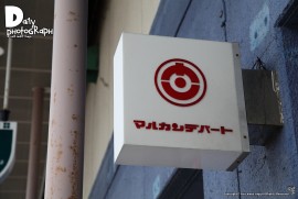 Daily Photograph 1271