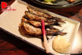 Daily Photograph 1295