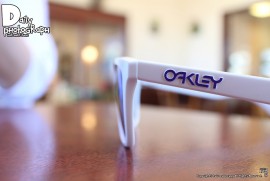 Daily Photograph 1299