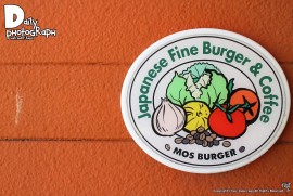 Daily Photograph 1302