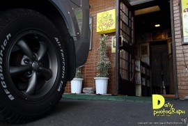 Daily Photograph 1305