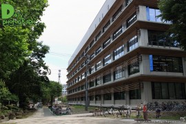 Daily Photograph 1307