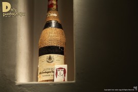 Daily Photograph 1309