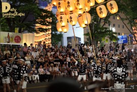 Daily Photograph 1336