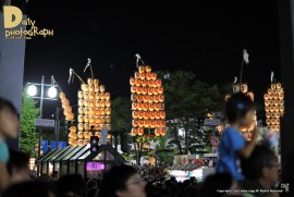 Daily Photograph 1337