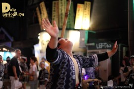 Daily Photograph 1340