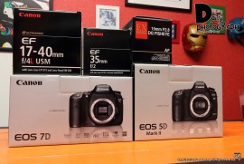 Daily Photograph 1375