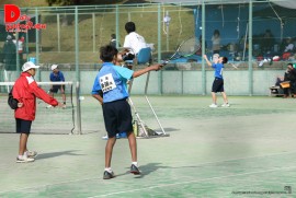 Daily Photograph 1401