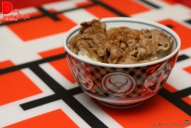 Daily Photograph 1406