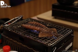 Daily Photograph 1426